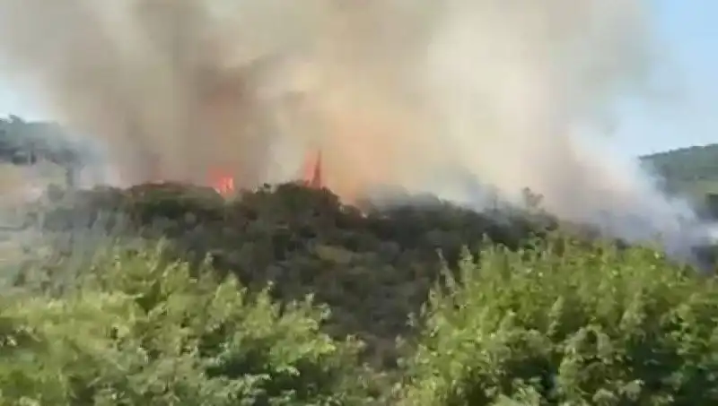 İstanbul'da Dev Orman Yangını: Vatandaşların Tahliyesi Acil Durumunu Gündeme Getirdi