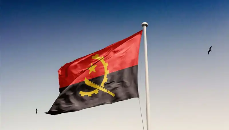 Angola'ya Girmek İsteyen Siyasilerin Şok Gözaltıları: 20 Kişi Tutuklandı