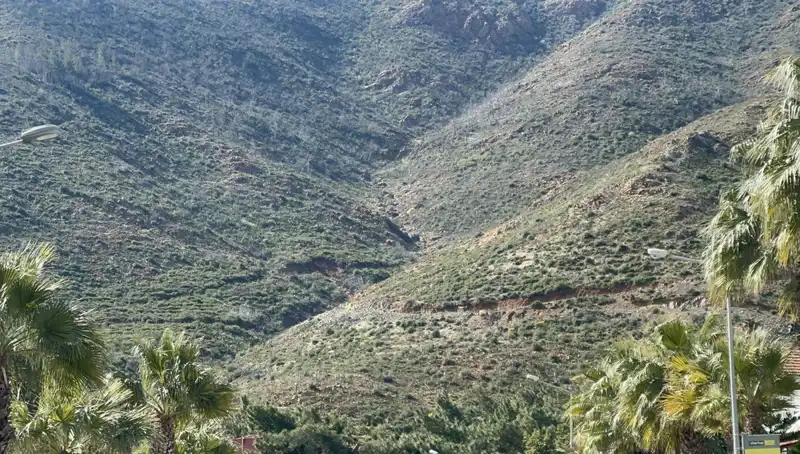 Marmaris Ormanları Yeniden Hayat Buldu: Fidanlar Güçleniyor