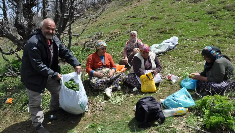 Yeraltında Gizli Hazine: 250 Lira Kilosu ile Yüzlerce Ailenin Geçim Kaynağı