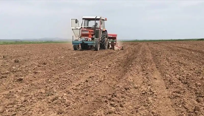 Son 35 Yılda Görülen En Kurak Mart Ayı: Yağış Miktarında Düşüş!