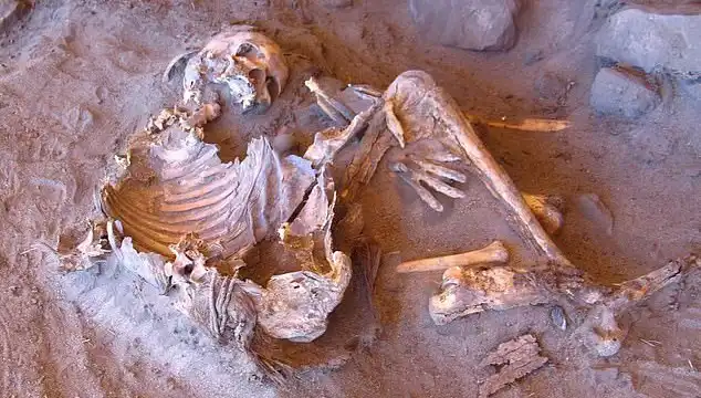 Yeni Mumya Keşfi, İnsanlığın Soy Ağacını Yeniden Yazdırabilir mi?