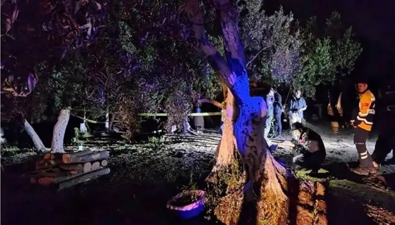 Çiftlikte Baltalı Vahşet: Polis Olay Yerinde Ne Buldu?