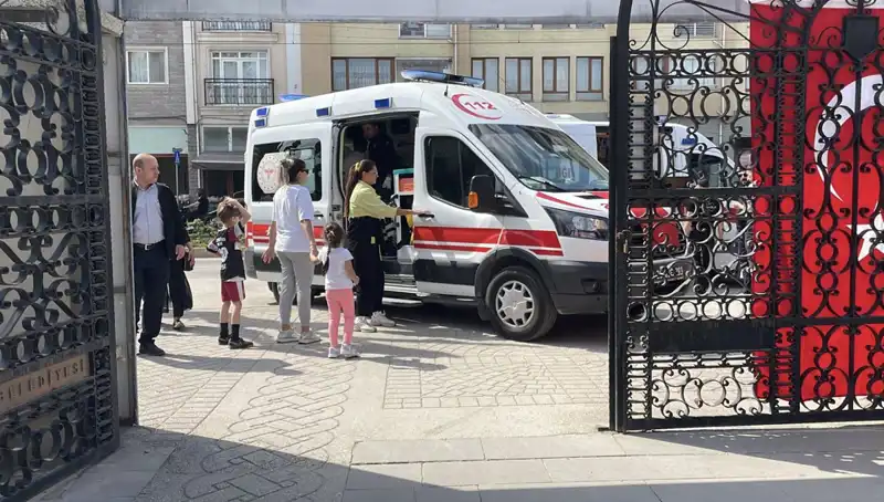 Eskişehir'de Sahipsiz Köpeklerin Saldırganlığında Artış: Güvenli Alanlar Tehlikede mi?