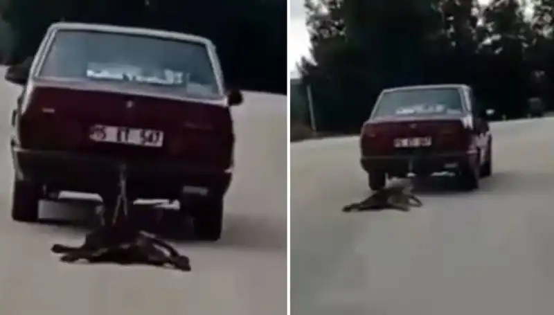 Otomobilin Arkasına Bağlı Köpeği Sürükleyen Aile Skandalı