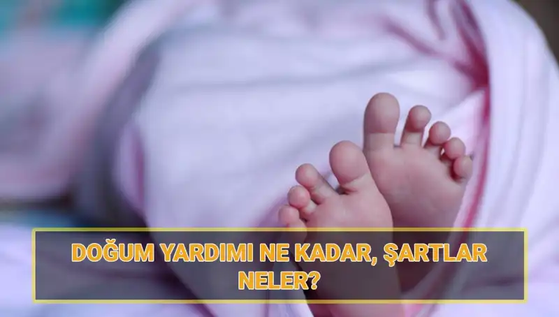 2025'te 5 Bin Lira Doğum Yardımı Başvurusu: Çocuk Parası Alma Rehberi