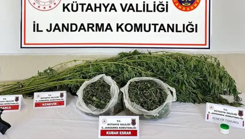 Kütahya'da Büyük Uyuşturucu Operasyonu: Bir Şahıs Ele Geçirildi