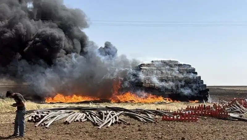 Mardin'de Kontrol Altına Alınamayan Anız Yangını, Korku Dolu Anlar Yaşattı