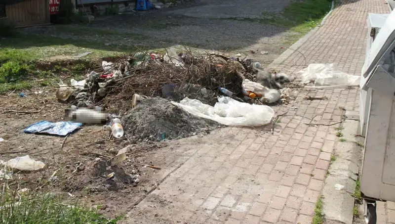 Antalya'da Şok Eden Kedi Ölümü: 10 Kedi Bulundu, Soruşturma Başlatıldı