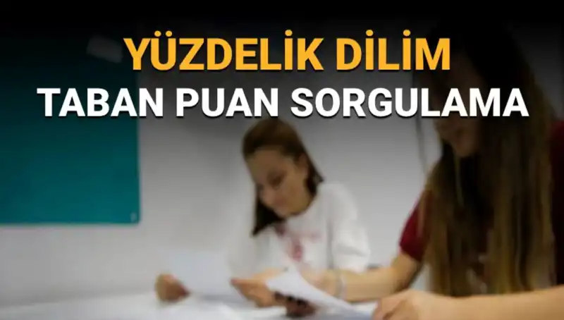 LGS 2025 Taban Puanları ve Yüzdelik Dilim Sorgulama Kılavuzu