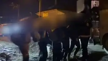 Van'da Göçmen Kaçakçılığı Operasyonu: Tahlil ve Gözaltılar