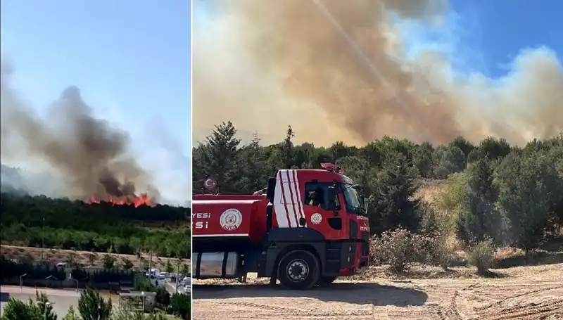 Gebze'de Orman Yangını: İtfaiye Ekipleri Seferber Oldu