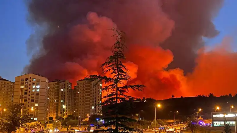 Bursa'daki Yangınlar: Şehirde Panik ve Korku Sarmalı