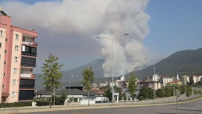 Denizli'de Korkutan Orman Yangını: Bir Şüpheli Gözaltında!