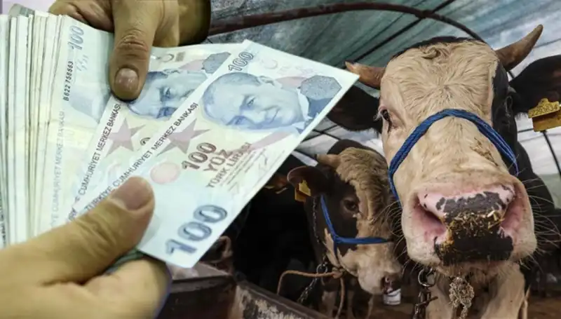 Bayramdan Önce Memur ve Emekli Maaşları Yatacak mı?