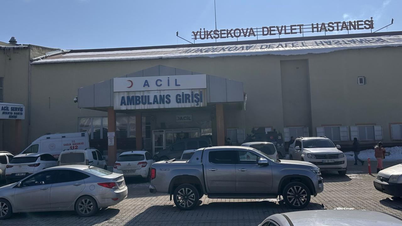 Müfettiş, Başıboş Köpeklerin Saldırısıyla Ölen Çocuk Olayında Görevlendirildi