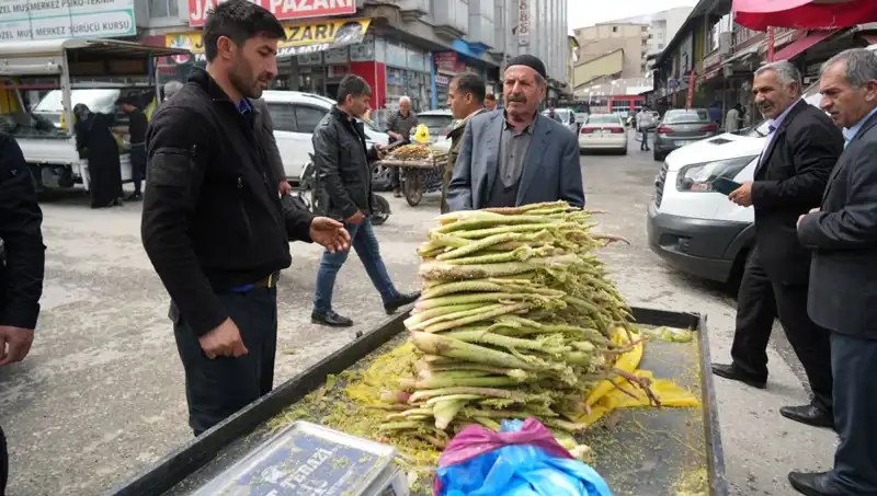 Dağlardan Sofralara: Şekerin Şifa Gücü ve Faydaları