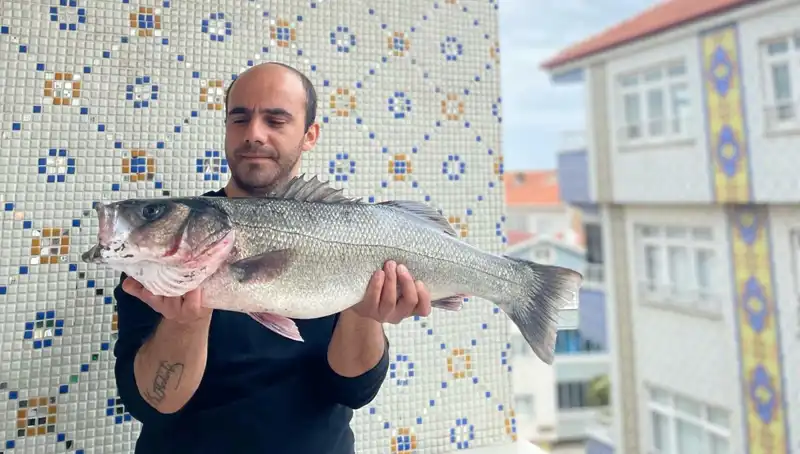7,5 Kiloluk Dev Levrek: Balıkçıların Gözü Kamaştıran Avı