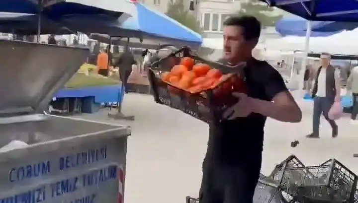 Domatesleri Çöpe Döken Pazarcıya Tarihi Para Cezası Geldi