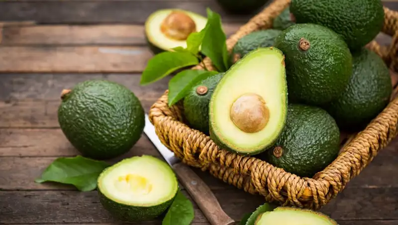 Avokado: Sağlıklı mı Yoksa Zararları mı Var? Öğrenmek İçin Okuyun!
