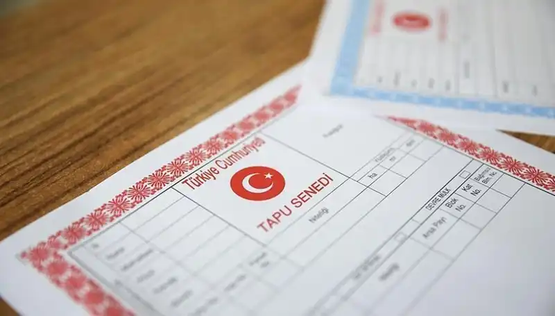 Hisseli Tapu Tuzağı: 100 Milyonluk Dolandırıcılığın Perdesi Aralandı