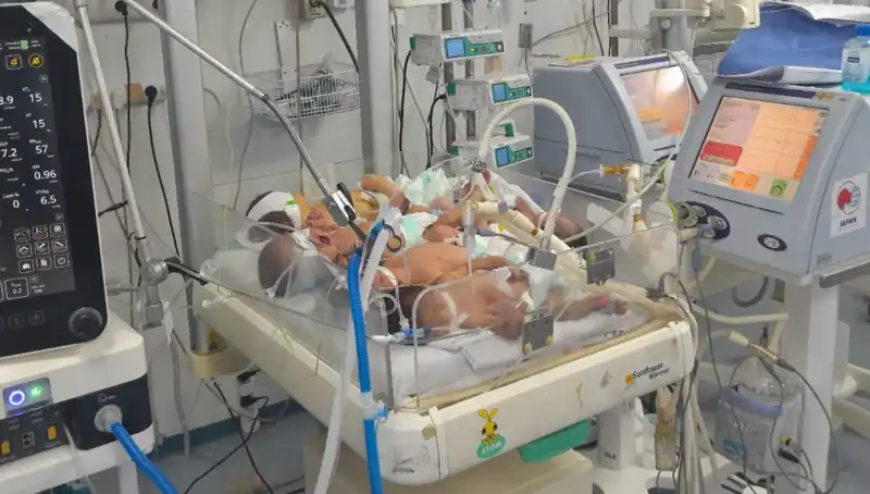 Gazzeli Doktorların Çağrısı: "Kuvözlerde Üç Beş Bebek Aynı Anda Yaşıyor!"