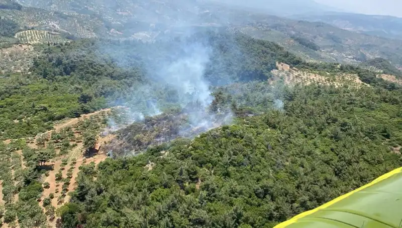 Aydın'da Orman Yangını: Patlayan Alevler ve Ekiplerin Mücadelesi