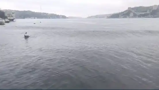 İstanbul'u Sarsan Deprem: 6.2 Büyüklüğündeki Sarsıntı Neleri Değiştirecek?