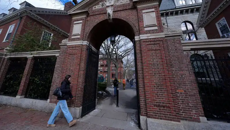 Harvard Profesörleri, Trump Yönetimine Eşcinsel Hakları İçin Dava Açtı!