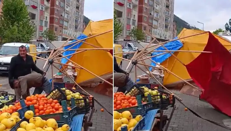 Artvin'de Fırtına Kabus Gibi Yüzlerce Ağaç Devirdi!