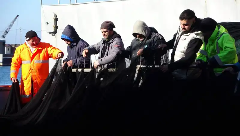 Denizlerde Hamsi Krizi: Balıkçılar Erken Paydos Etmek Zorunda Kaldı