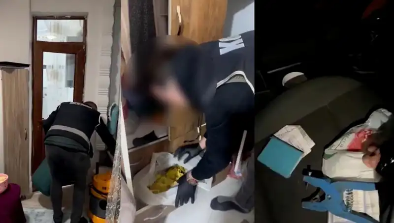 Hayvan Sevk Belgesi Usulsüzlüğü: Dokuz Şüpheli Gözaltında