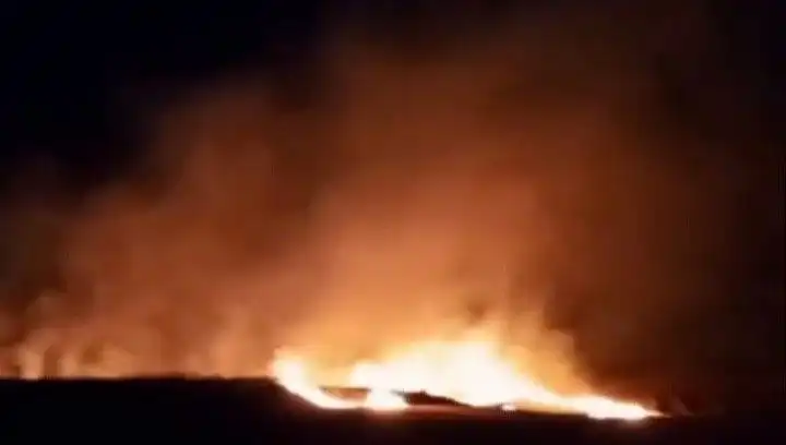 Tekirdağ'da Şok Yangın: 20 Dekar Buğday Alanı Kül Oldu!
