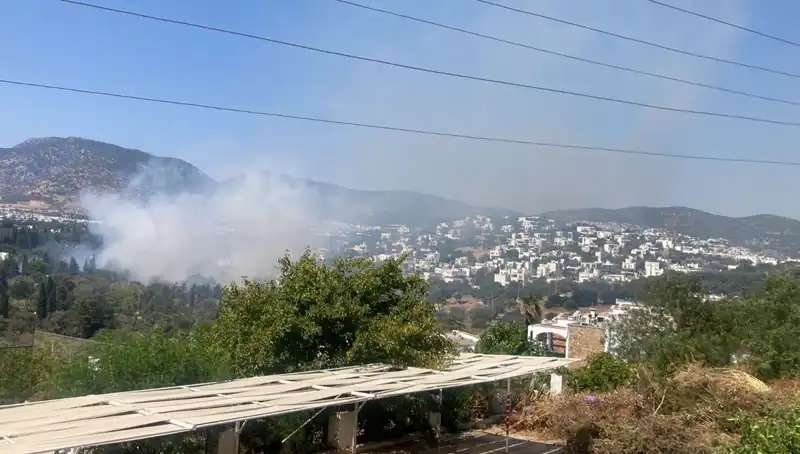 Muğla’daki Orman Yangınları Kontrol Altına Alındı: Son Durum Nedir?