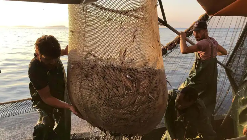 Balıkçılar Paydos Ediyor: İhlal Edenlere Binlerce Lira Ceza Uygulanacak