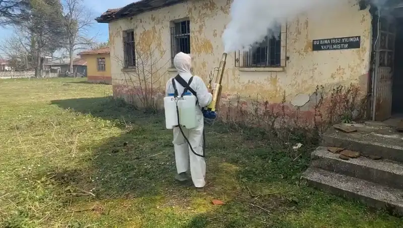 Çiftçilerin Kahverengi Kokarca Mücadelesi: Tehdit ve Çözüm Yolları